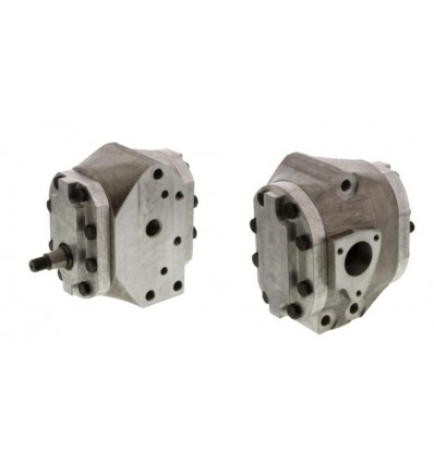 Hydraulikpumpe für Massey Ferguson 3038730M2, 3038730M1, 3790722M1